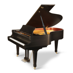 Kawai GX7