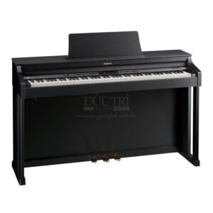 Roland RP501R