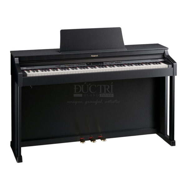 Roland RP501R