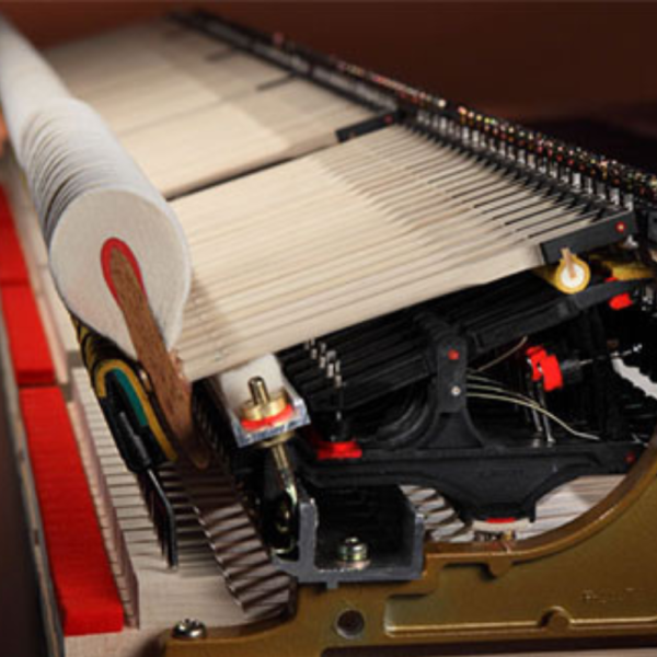máy Shigeru Kawai SKEX