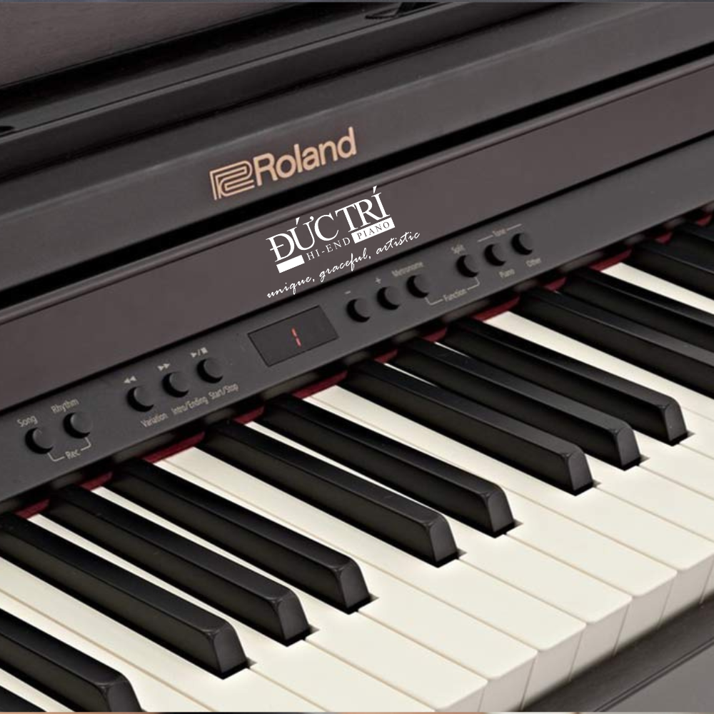 Roland RP501 2 digital Roland RP501 mau den Roland RP501