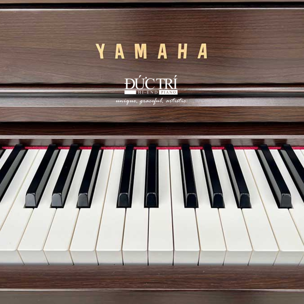 Yamaha SCLP-5350 2 bàn phím digital Yamaha SCLP-5350 màu nâu đen