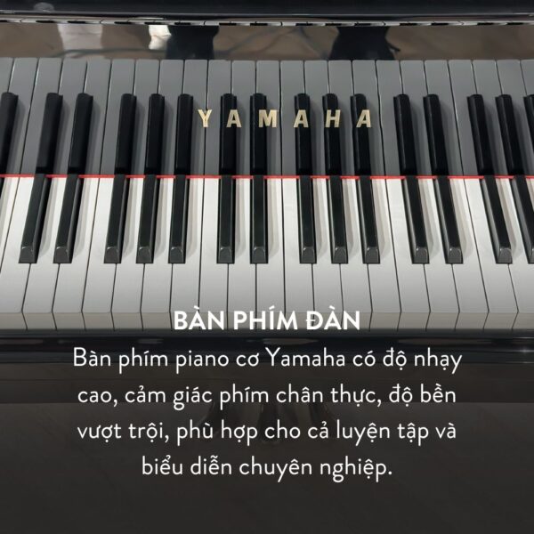 Bàn phím Grand Piano Yamaha G5A
