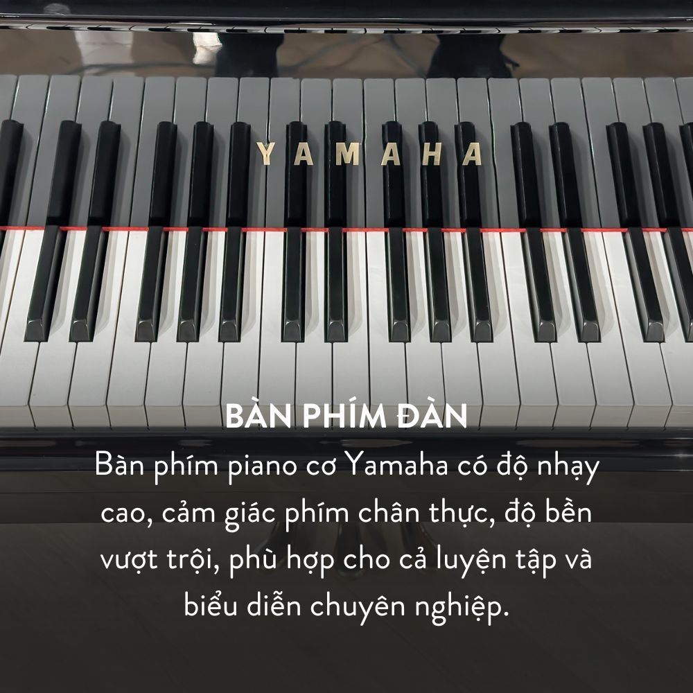 Yamaha G5A 4 Bàn phím Grand Piano Yamaha G5A