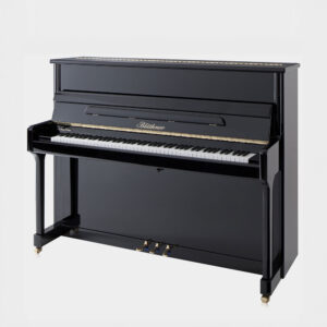 Bluthner-C-118-Black