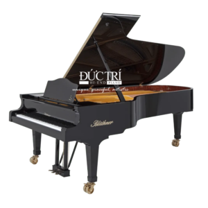 Bluthner Model 4