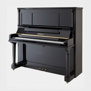 Bluthner S-146 black