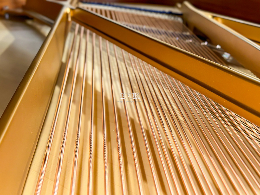 C.Bechstein A228 5 Đàn Grand Piano C.Bechstein A.228