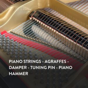 Đàn Grand Piano Yamaha G3A tại showroom Piano Đức Trí