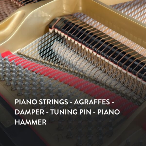 Đàn Grand Piano Yamaha G3A tại showroom Piano Đức Trí