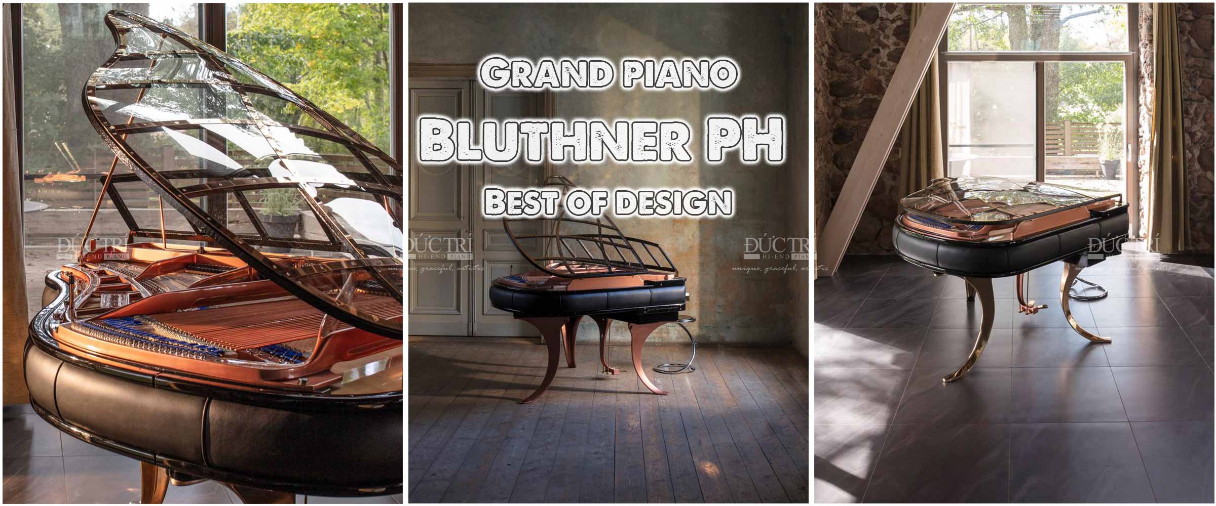 Bluthner PH 1 Đàn piano Bluthner PH Edition