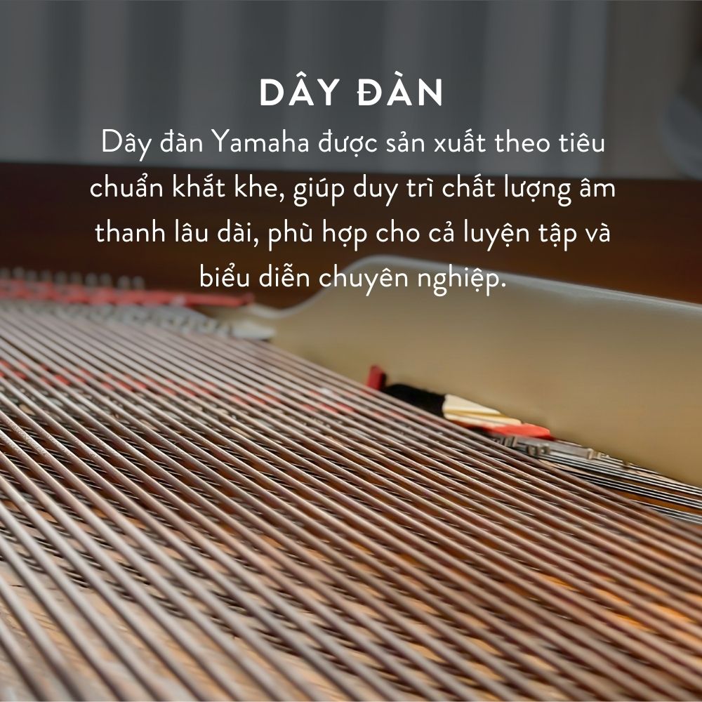 Yamaha G5A 6 Dây Grand Piano Yamaha G5A