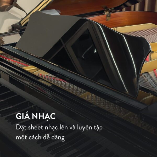 Đàn Grand Piano Yamaha G3A tại showroom Piano Đức Trí