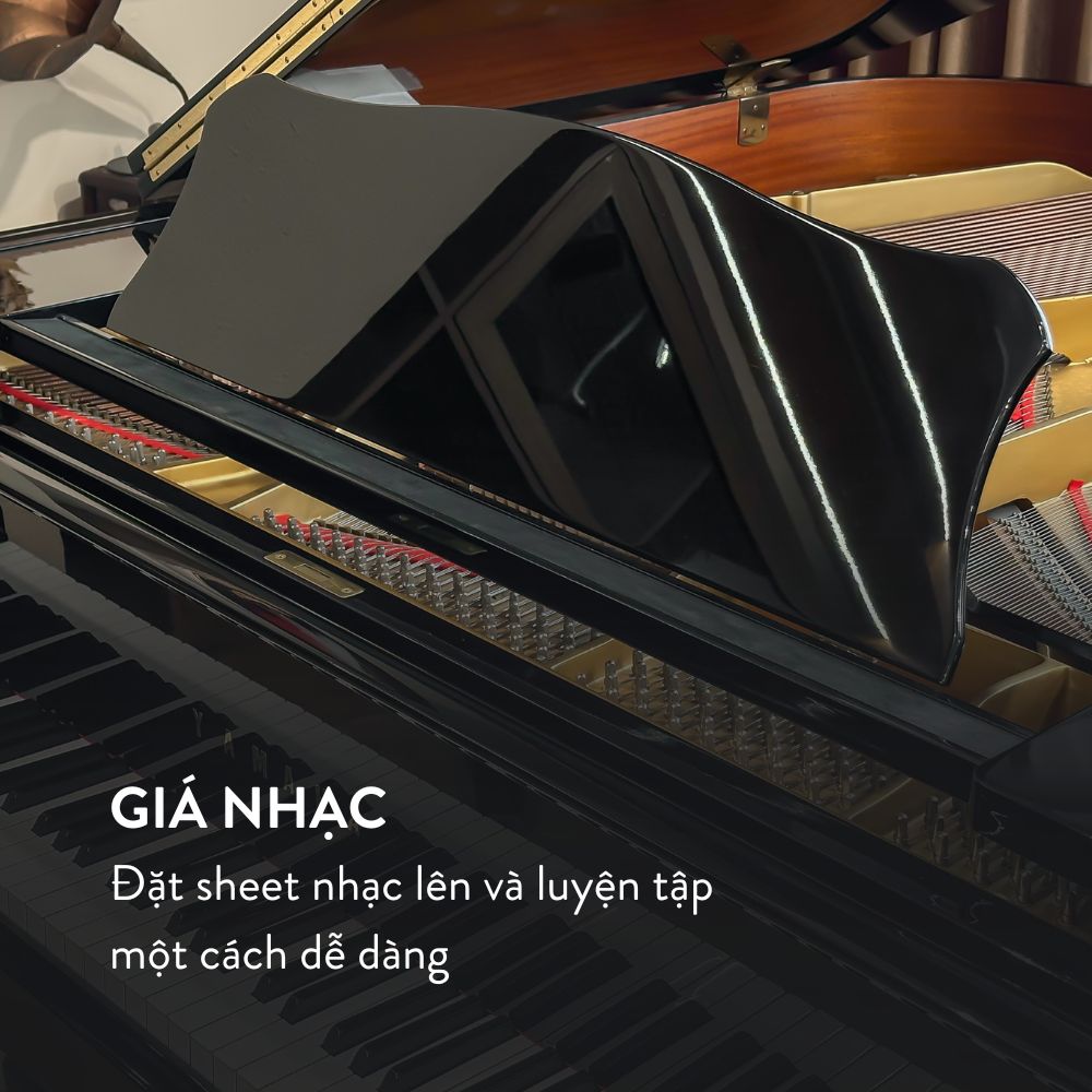 Yamaha G3A 9 Đàn Grand Piano Yamaha G3A tại showroom Piano Đức Trí