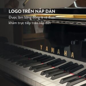 Đàn Grand Piano Yamaha G3A tại showroom Piano Đức Trí