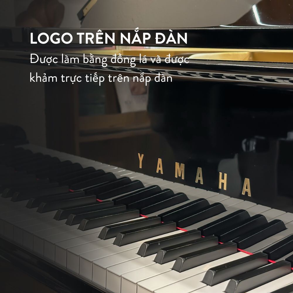 Yamaha G3A 8 Đàn Grand Piano Yamaha G3A tại showroom Piano Đức Trí