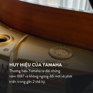 Đàn Grand Piano Yamaha G3A tại showroom Piano Đức Trí