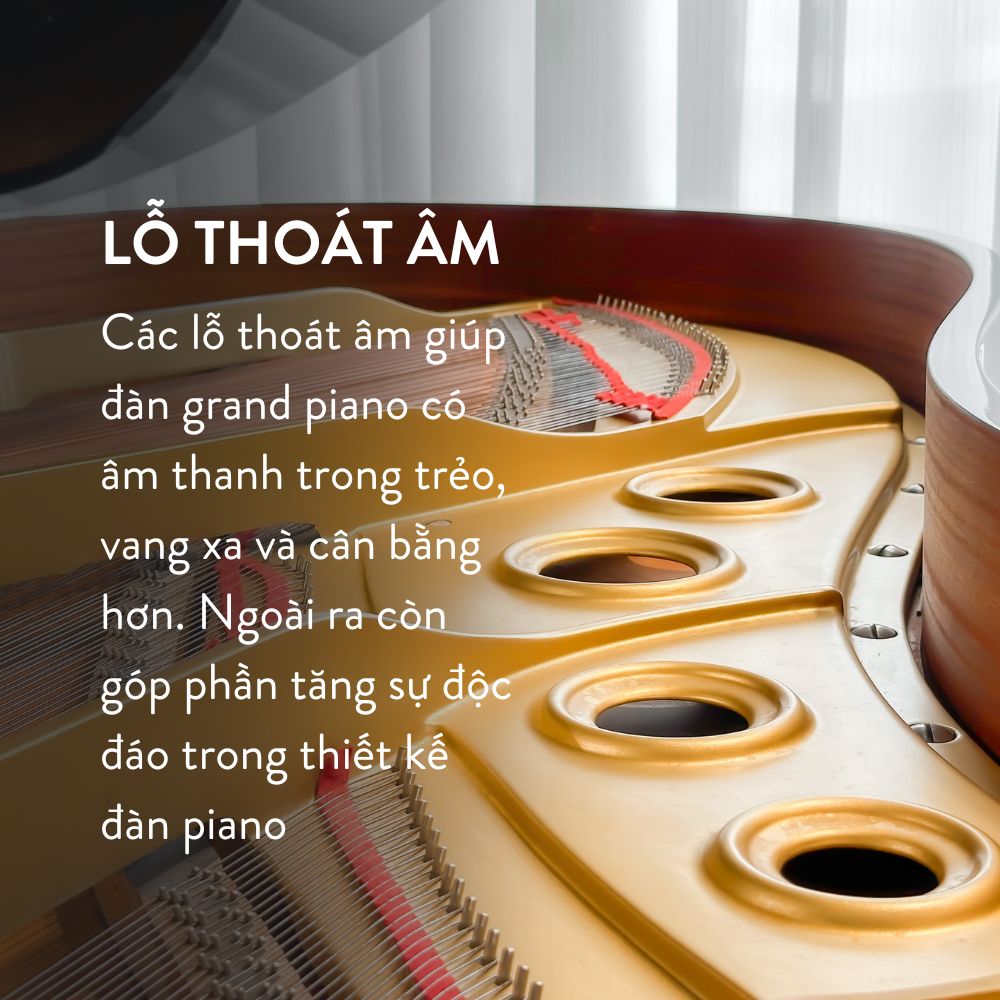 Yamaha G5A 7 Lỗ thoát âm Grand Piano Yamaha G5A