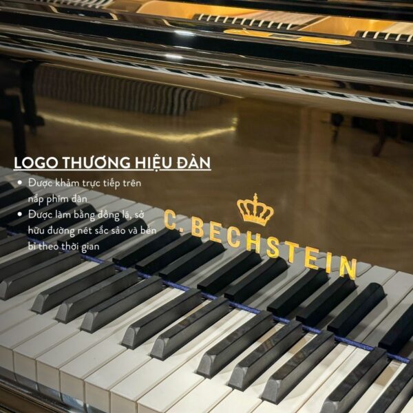 Logo Đàn C.Bechtein A.288