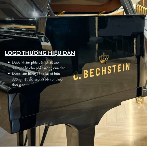 Logo đàn C.Bechtein A.288