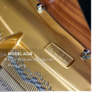 Model đàn C.Bechtein A.288