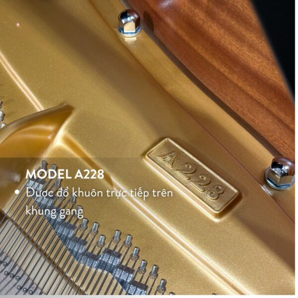 Model đàn C.Bechtein A.288