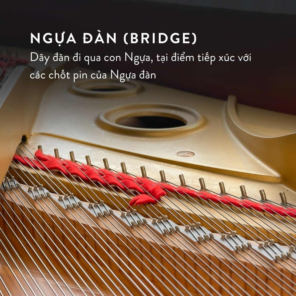 Yamaha G3A 7 Đàn Grand Piano Yamaha G3A tại showroom Piano Đức Trí