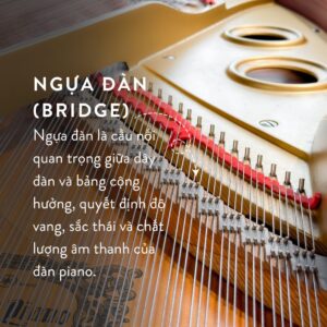 Ngựa Grand Piano Yamaha G5A