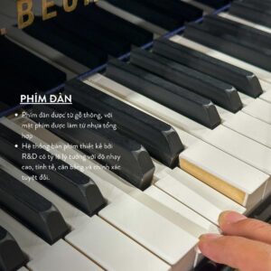 Phím đàn C.Bechtein A.288