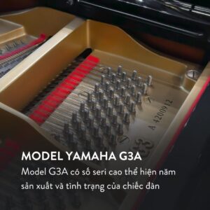 Đàn Grand Piano Yamaha G3A tại showroom Piano Đức Trí
