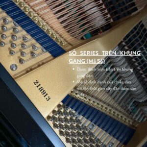 Số Seri C.Bechtein A.288