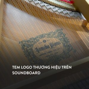 Đàn Grand Piano Yamaha G3A tại showroom Piano Đức Trí