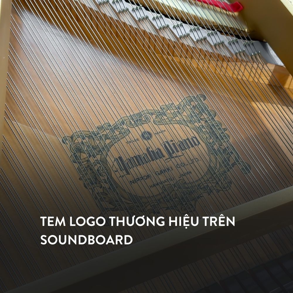 Yamaha G3A 2 Đàn Grand Piano Yamaha G3A tại showroom Piano Đức Trí
