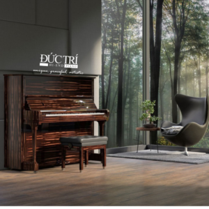 bechstein c8