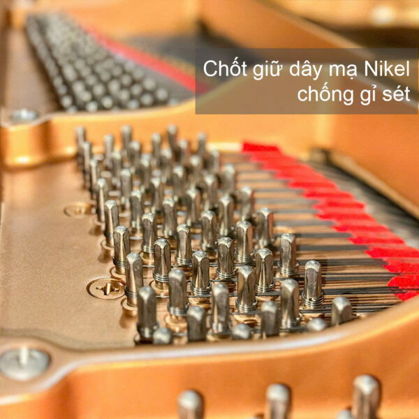 Chốt giữ dây mạ nikel của yamaha c3ae