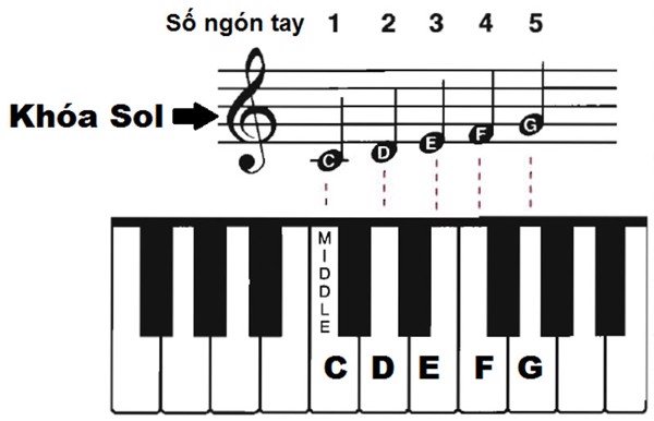 Khoá nhạc là gì? Có bao nhiêu khóa nhạc hiện nay? 3 Khóa Sol, là khóa nhạc được sử dụng phổ biến nhất