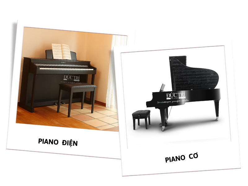 Đàn piano có bao nhiêu phím? Phương pháp “Mèo Đen" ghi nhớ phím đàn hữu ích dành cho trẻ em  7 Đàn Piano có bao nhiêu phím