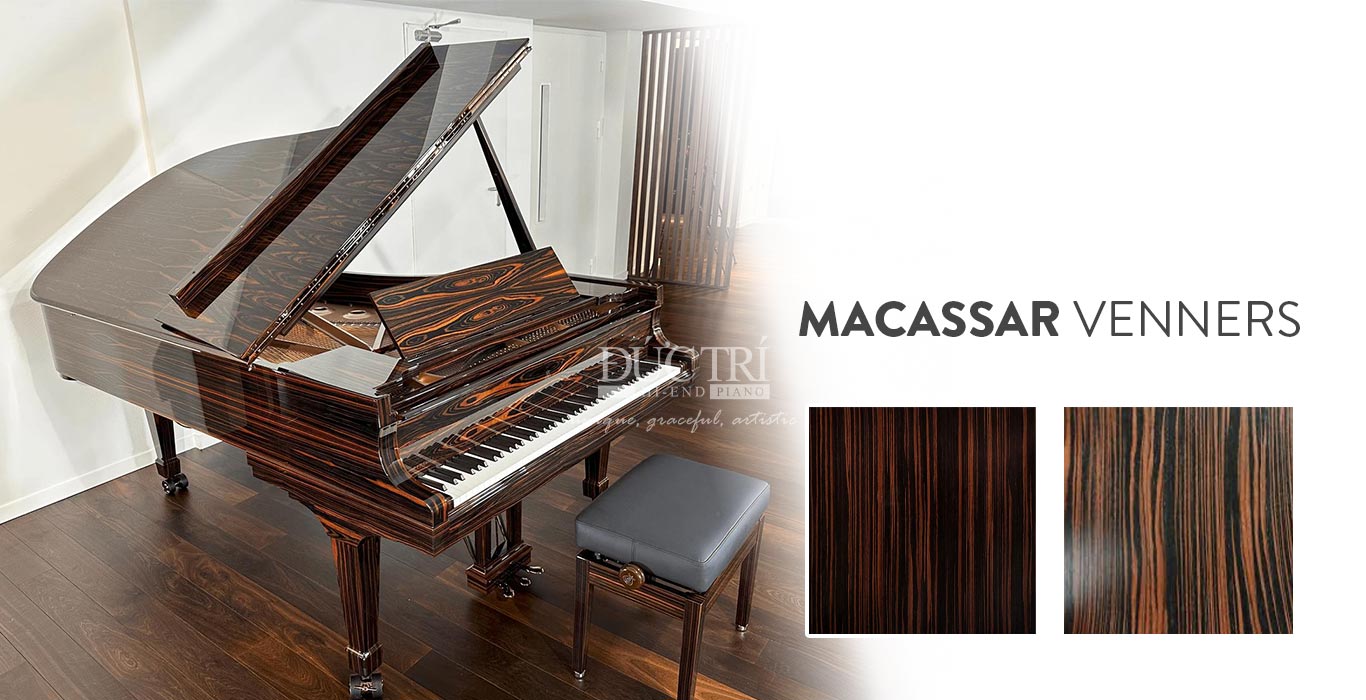 Steinway & Sons Macassar Ebony 1 Đàn piano Macassar là loại đàn piano được chế tác từ gỗ mun Macassar