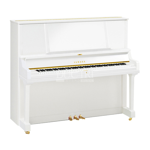Đàn piano có bao nhiêu phím? Phương pháp “Mèo Đen" ghi nhớ phím đàn hữu ích dành cho trẻ em  1 Ban đầu, đàn piano chỉ có 60 phím