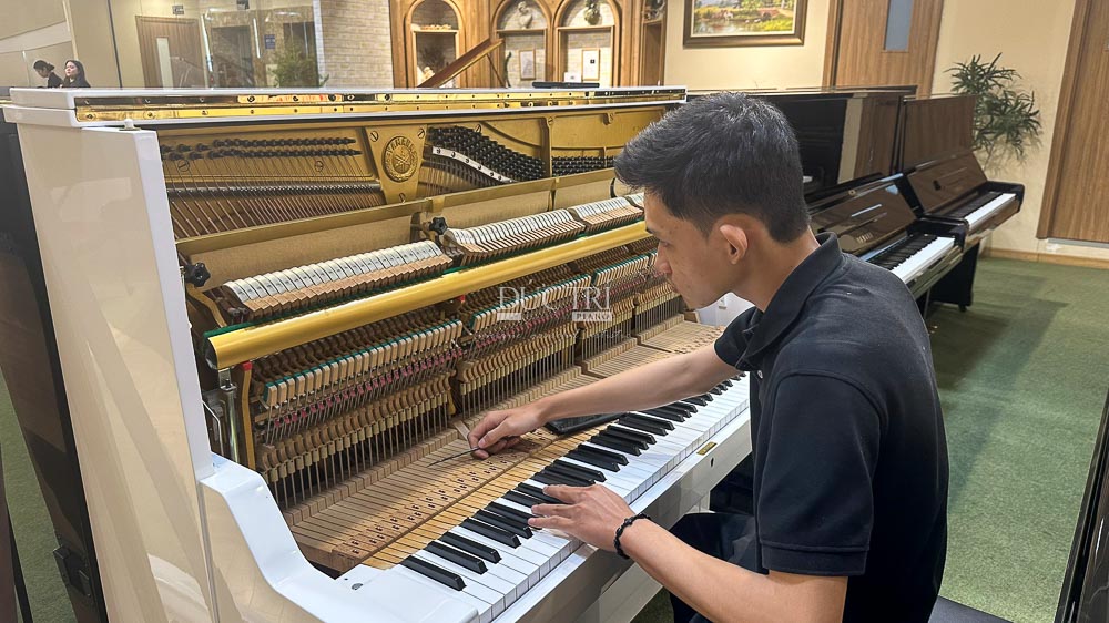 C.Bechstein Model B 1 Mua đàn piano cũ mang lại nhiều lợi ích thiết thực