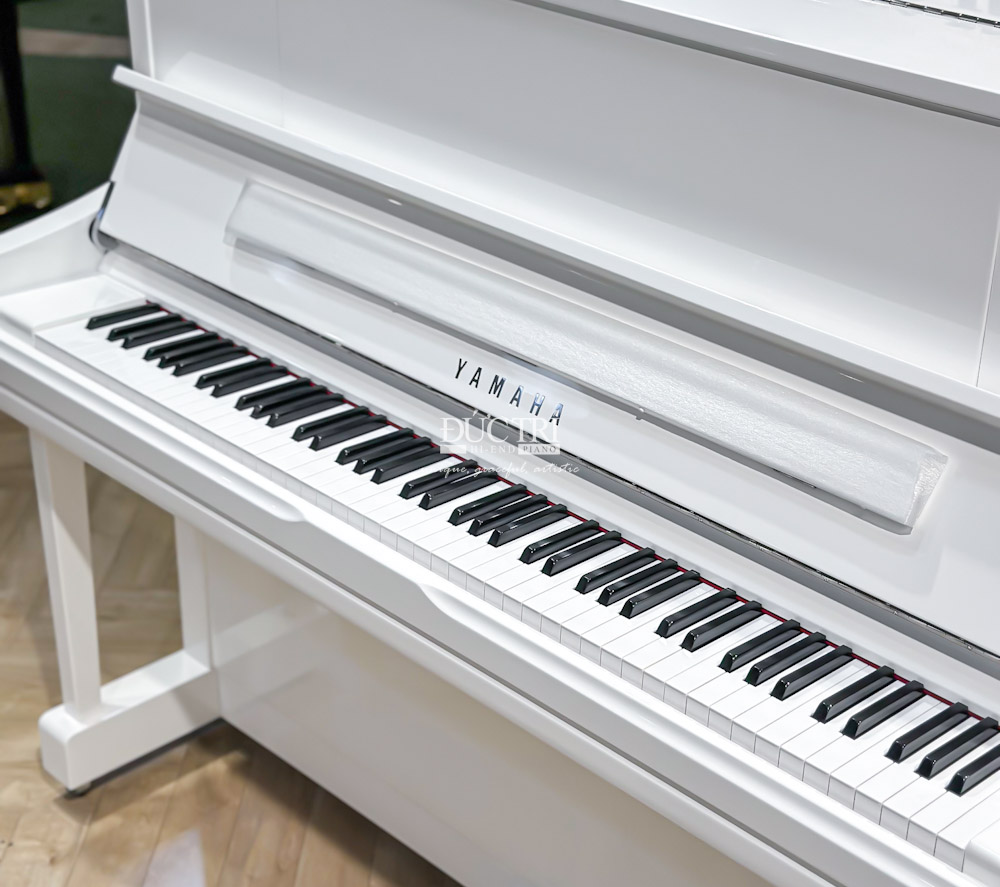 Blüthner S146 7 Một cây đàn Upright Piano tiêu chuẩn có 88 phím