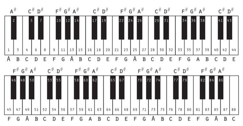 Hướng dẫn 3 bước cách đệm hát piano đơn giản và dễ học 2 Có 14 hợp âm cơ bản, gồm 7 hợp âm trưởng và 7 hợp âm thứ trên cây đàn piano