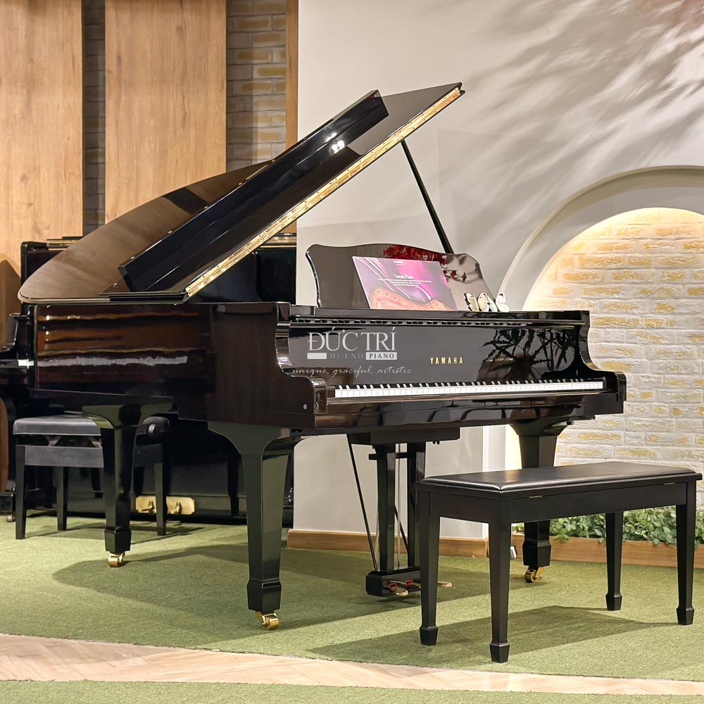 Bösendorfer Vienna 1 Đàn Grand Piano là nhạc cụ dây có hình dáng sang trọng