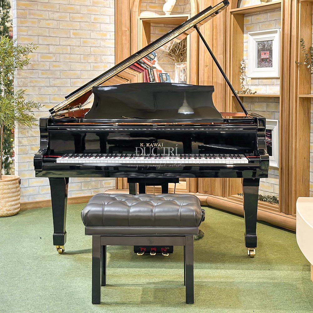 Bösendorfer Vienna 19 Đàn Piano Kawai KG3D Piano Đức Trí