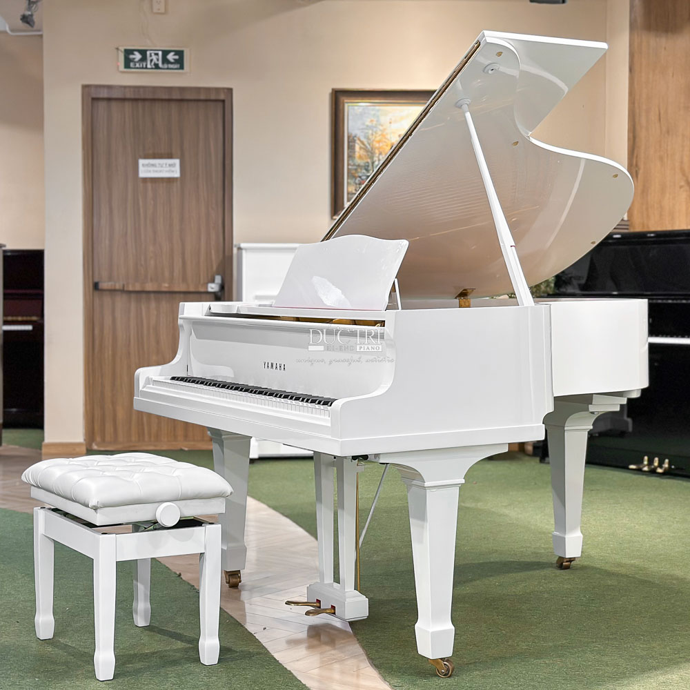 Bösendorfer Vienna 13 Đàn Piano Yamaha G2 Piano Đức Trí