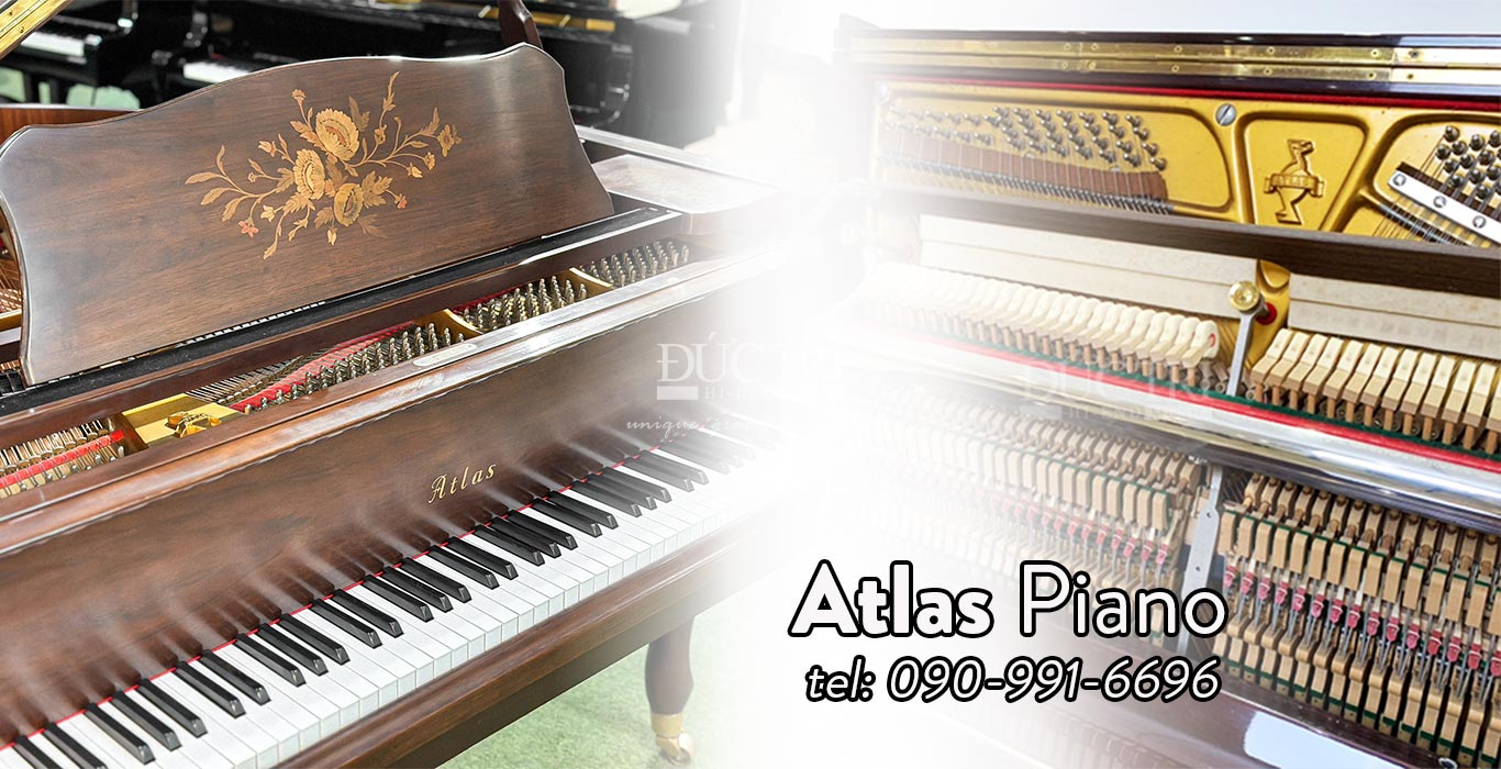 Atlas SA102 4 Đàn Atlas được đánh giá cao nhờ sự kết hợp hoàn hảo giữa công nghệ tiên tiến và tay nghề thủ công truyền thống