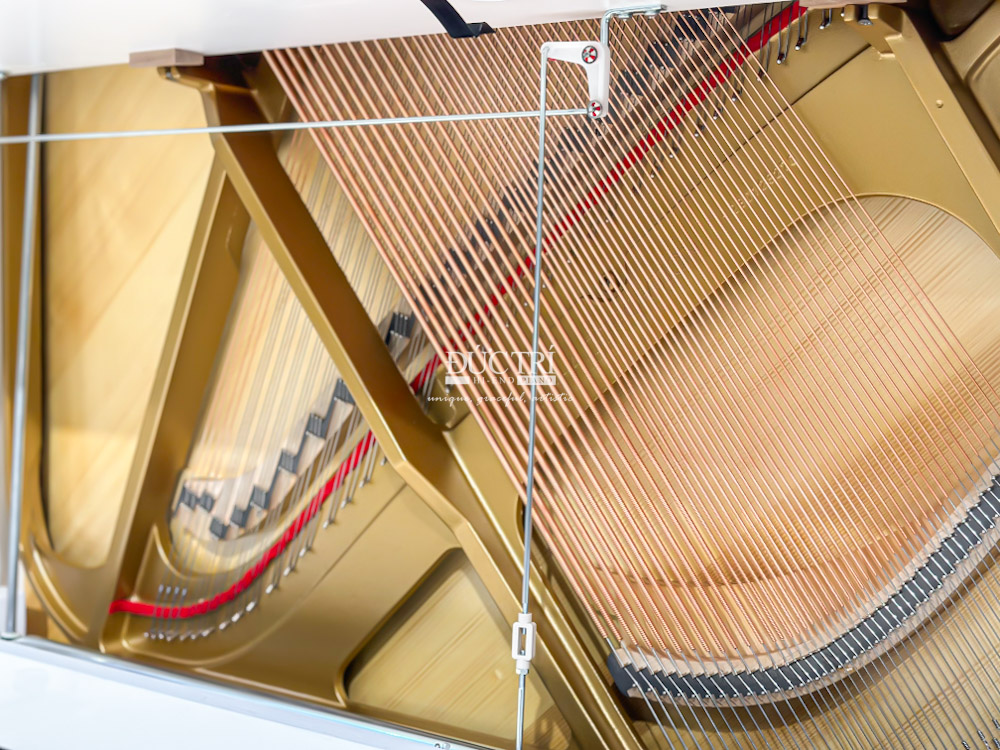 Blüthner S146 4 Dây đàn là những sợi dây thép đan xen nhau, được căng trên đàn piano