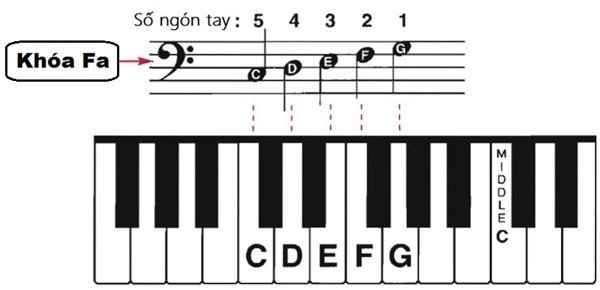 Khoá nhạc là gì? Có bao nhiêu khóa nhạc hiện nay? 4 Khóa Fa bắt đầu từ dòng kẻ thứ tư trên khuông nhạc, vị trí của nốt Fa