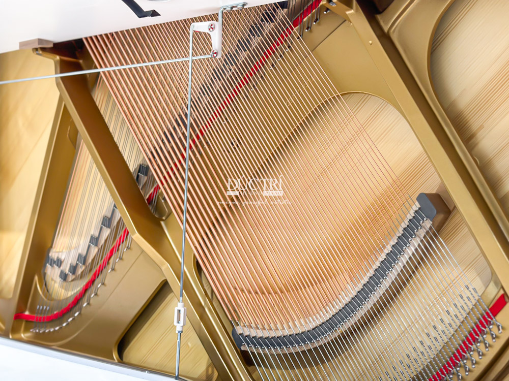 Blüthner S146 2 Khung gang của đàn Piano Upright được làm từ gang đúc
