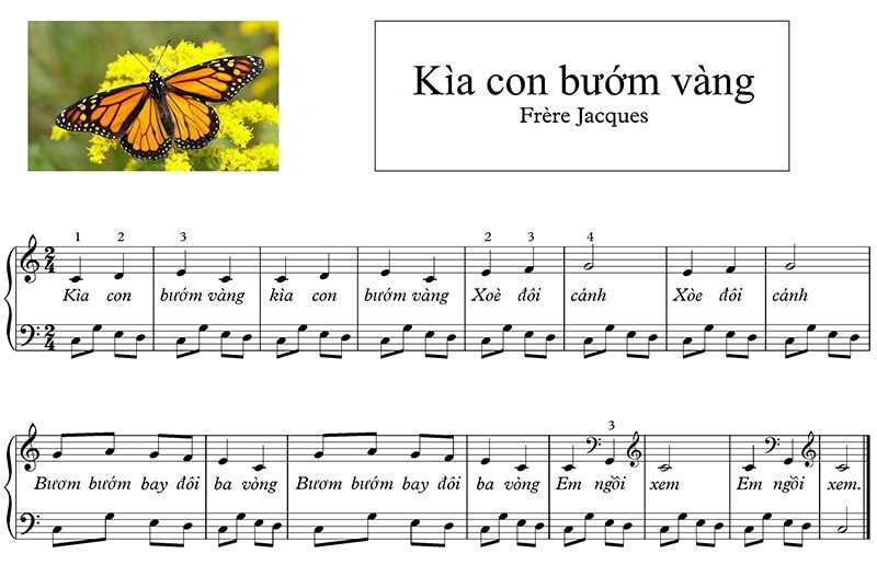 Top 10 bản nhạc piano đơn giản có tên nốt cho người mới học từ trẻ em, đến người lớn 2 Kìa Con Bướm Vàng có giai điệu dễ nhớ, là bản nhạc piano cho người mới